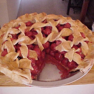 Fake Food Cherry Pie with a Slice Out Fake Pies AVAILABLE on our WEBSITE ALSO