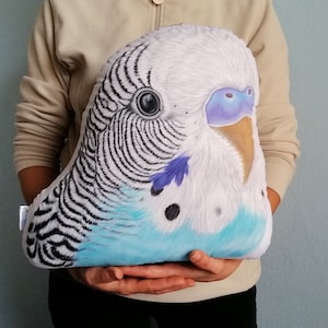Custom Pet Pillow, Personalized Bird Cushion, Hand Painted custom animal  plush pillow,  Petlover gifts, pet memorials, pet loss gift