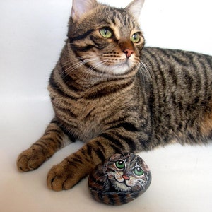 Custom Pet  Portrait,  Pet  Paintings on Rocks, Hand  painted Pet  Memorial Rock Art, painted animal rock, pet stone painting