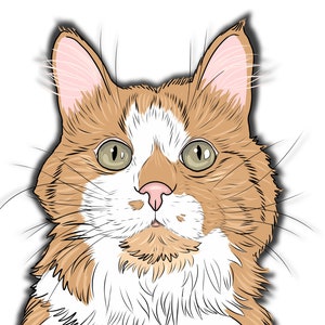 3D Pet Art, Digital Custom Pet Portraits, Custom Pet Drawing from Photo, Pet Memorial gift, Pet owner gift, cat gift, dog gift, digital file image 8