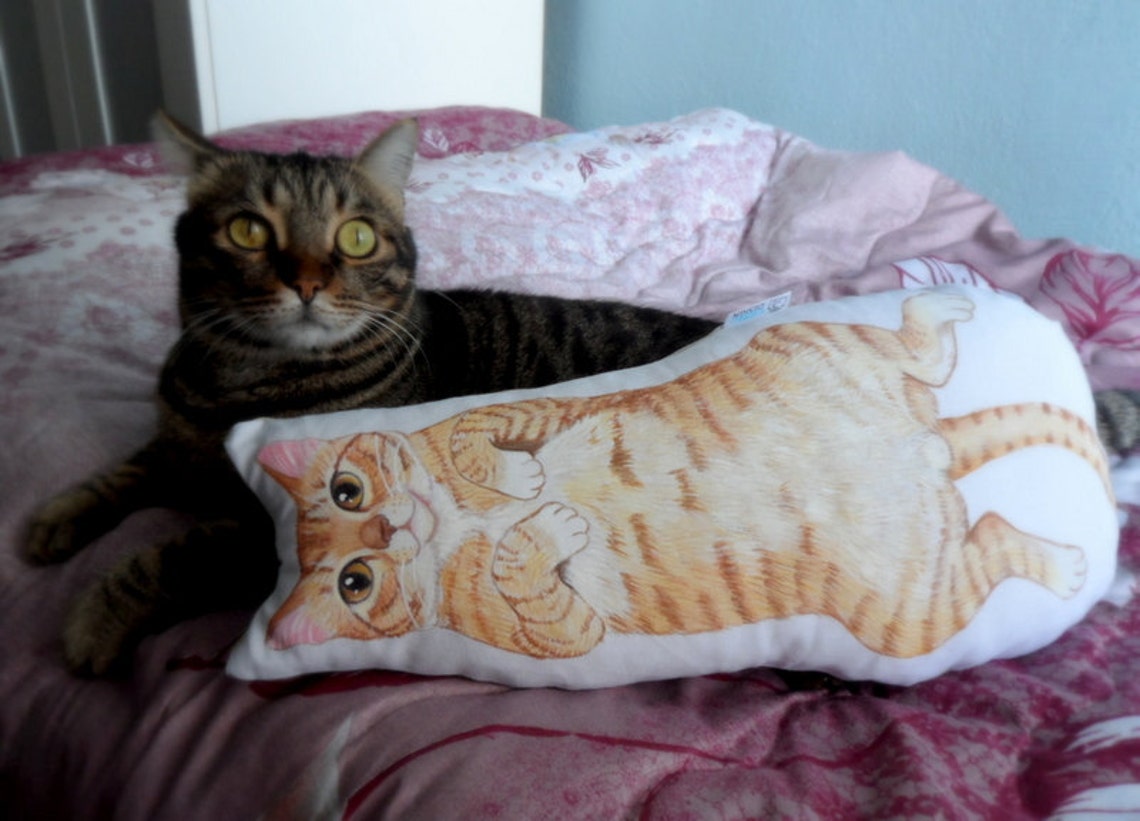 Custom Cat Pillow Personalized gift for pet lovers Cat Etsy