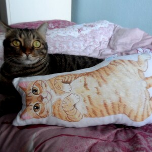 K&ouml;nnte beinhalten: Eine braune getigerte Katze mit gelben Augen liegt auf einem rosa-wei&szlig;en Bettbezug. Ein wei&szlig;es Kissen mit einer Illustration einer braunen und orangefarbenen getigerten Katze liegt neben der Katze.