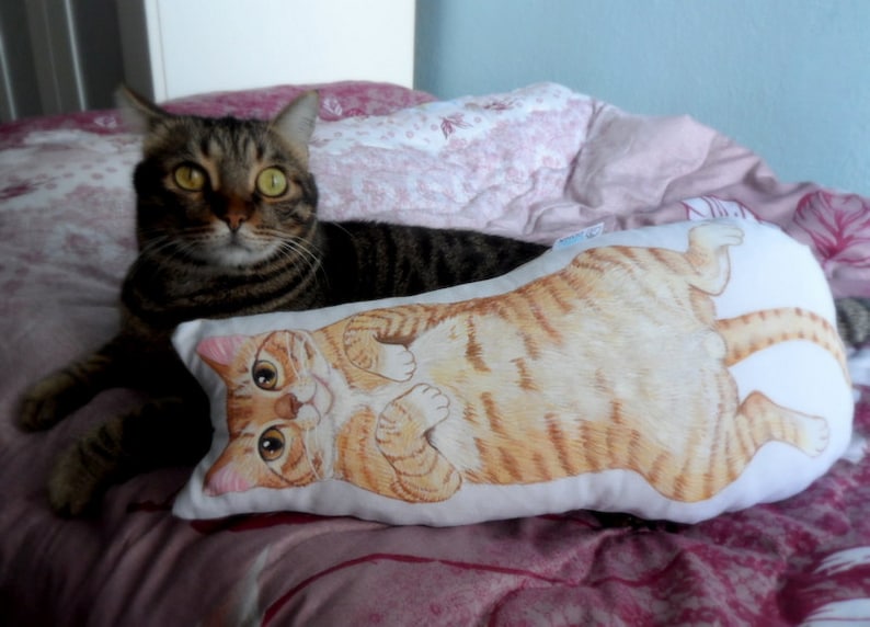 K&ouml;nnte beinhalten: Eine braune getigerte Katze mit gelben Augen liegt auf einem rosa-wei&szlig;en Bettbezug. Ein wei&szlig;es Kissen mit einer Illustration einer braunen und orangefarbenen getigerten Katze liegt neben der Katze.