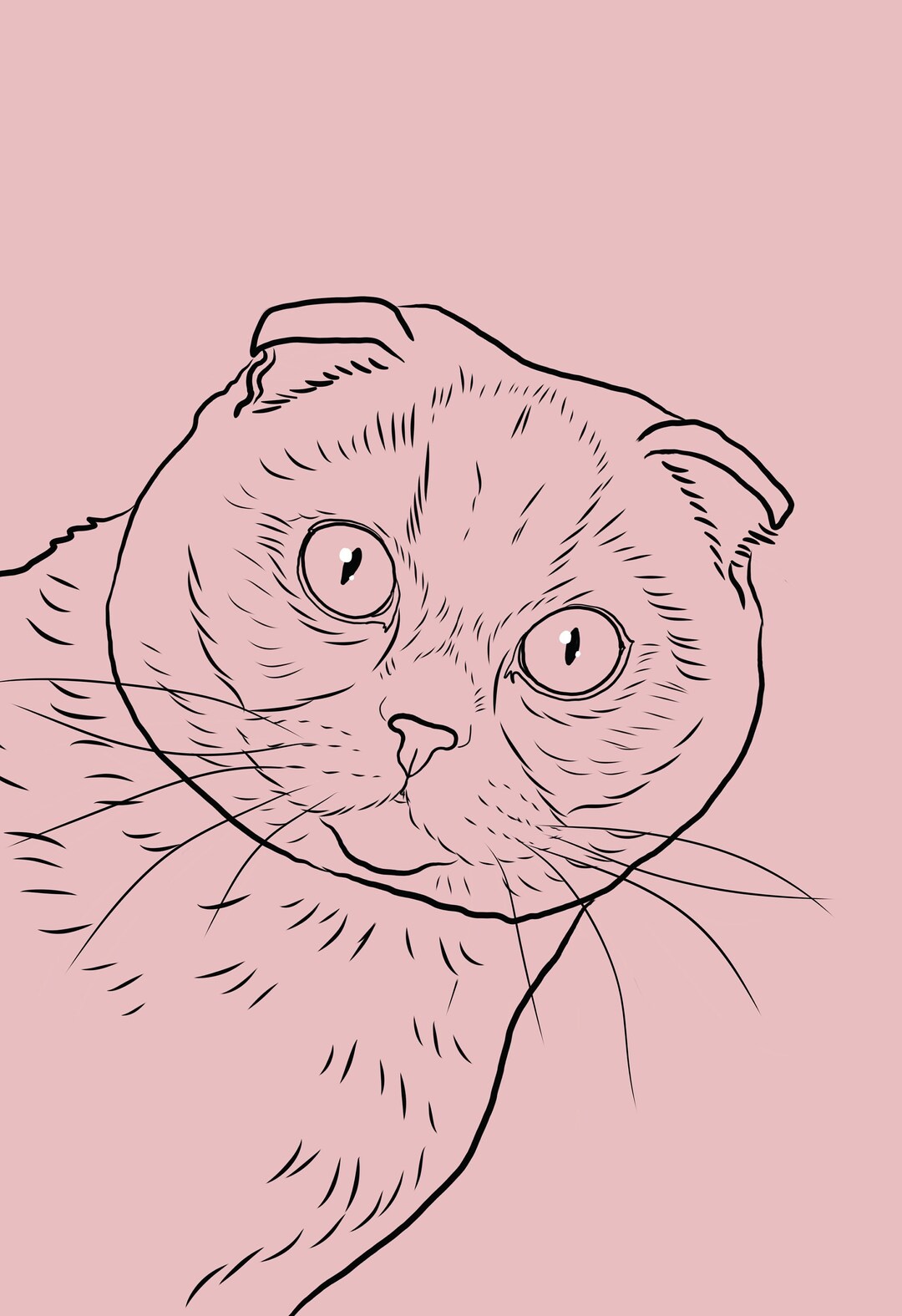 Digital Pet Portrait, Line Drawing Pet, Sketches From Photo, Pet Tattoo