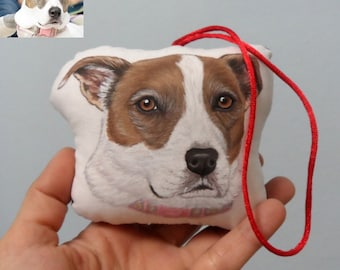 Benutzerdefinierte Haustier Ornament Plüsch, personalisierte Geschenk für Haustierliebhaber, Katze Ornament, Hund Ornament, Haustier Brosche, Weihnachten Haustier Ornament, Haustier Liebhaber Geschenk