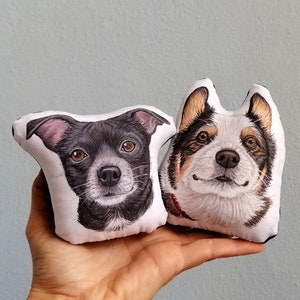 Hand Painted Custom Pet Ornament, Plushie, stuffed ornament