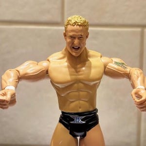 Wwe figures ring - Etsy 日本