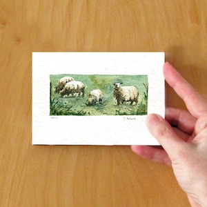 Sheep Original Watercolor Art Card For Sale image 2