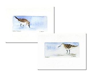 Sandpipers Two Original Hand Painted Watercolours