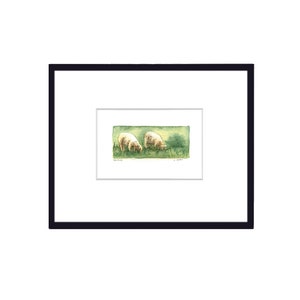 Two Sheep Original Watercolour Art Card For Sale, 3.5 x 5, Miniature Painting image 2