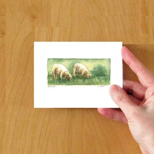 Two Sheep Original Watercolour Art Card For Sale, 3.5 x 5, Miniature Painting image 5