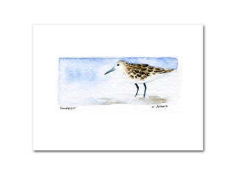 Sandpiper Bird Art, Original Watercolor