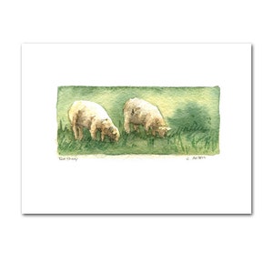 Two Sheep Original Watercolour Art Card For Sale, 3.5 x 5, Miniature Painting image 1