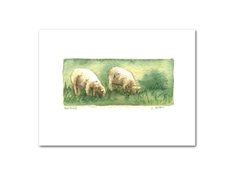 Two Sheep Original Watercolour Art Card For Sale, 3.5 x 5, Miniature Painting