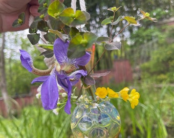 Pyrex Blown Glass Window or Wall Vase, made by me in Asheville, NC. It also works great for rooting plants