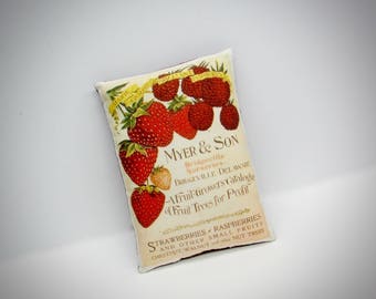 Vintage print strawberry sign pillow | Vintage Raspberry | Strawberry Advertisement