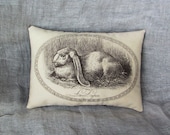 Primitive bunny tuck | farmhouse pillow tuck | rabbit pillow | farmhouse primitive pillow | Easter pillow tuck | spring cupboard tuck