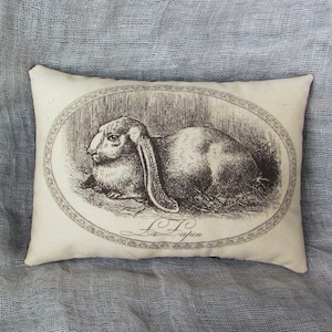 An off white mini pillow with a black illustration of a rabbit with long ears. The illustration is in an oval frame with a decorative border. The text 'L.T. Lapin' is below the illustration.   dimensions are 4" x 6"