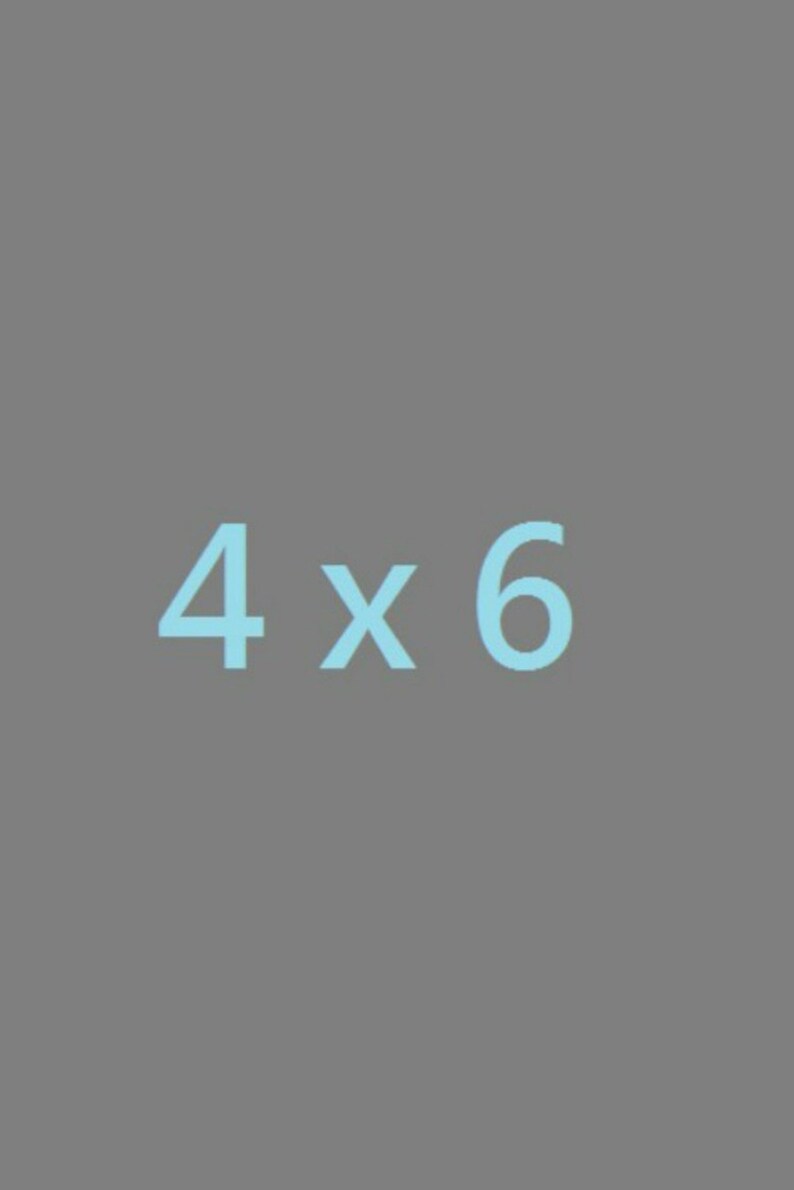 Peut inclure: Un fond gris avec le texte bleu clair "4 x 6". Les chiffres et le "x" sont dans une police sans-serif. L'image est un graphique simple.