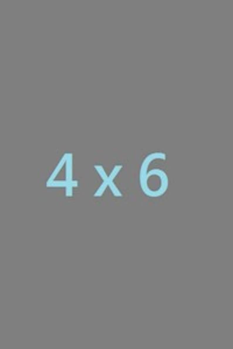 Puede incluir: Un gr&aacute;fico azul claro sobre un fondo gris con el texto "4 x 6".