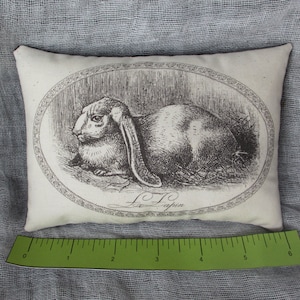 K&ouml;nnte beinhalten: Ein wei&szlig;es Kissen mit einer Schwarzwei&szlig;illustration eines Kaninchens mit langen Ohren. Die Illustration ist von einem dekorativen ovalen Rahmen umgeben. Der Text "Le Lapin" ist unter dem Kaninchen gedruckt.