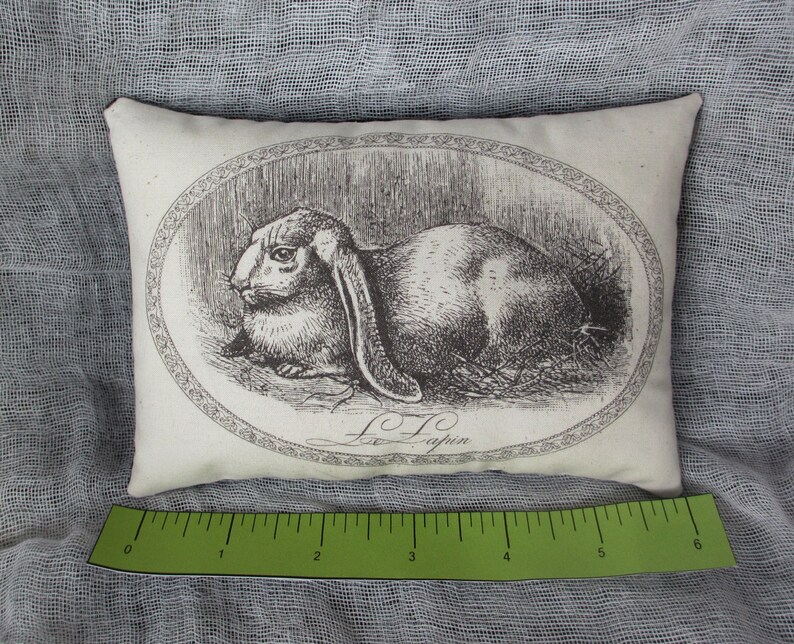K&ouml;nnte beinhalten: Ein wei&szlig;es Kissen mit einer Schwarzwei&szlig;illustration eines Kaninchens mit langen Ohren. Die Illustration ist von einem dekorativen ovalen Rahmen umgeben. Der Text "Le Lapin" ist unter dem Kaninchen gedruckt.