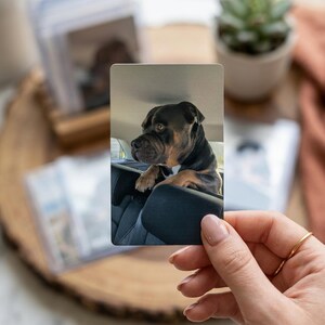K&ouml;nnte beinhalten: Eine rechteckige Fotokarte mit einem schwarz-braunen Hund mit kurzem Fell, der seine Vorderpfoten auf die Kopfst&uuml;tze eines Autositzes legt. Der Hund blickt nach links und zeigt seine dunklen Augen und seine Schnauze im Innenraum des Autos.