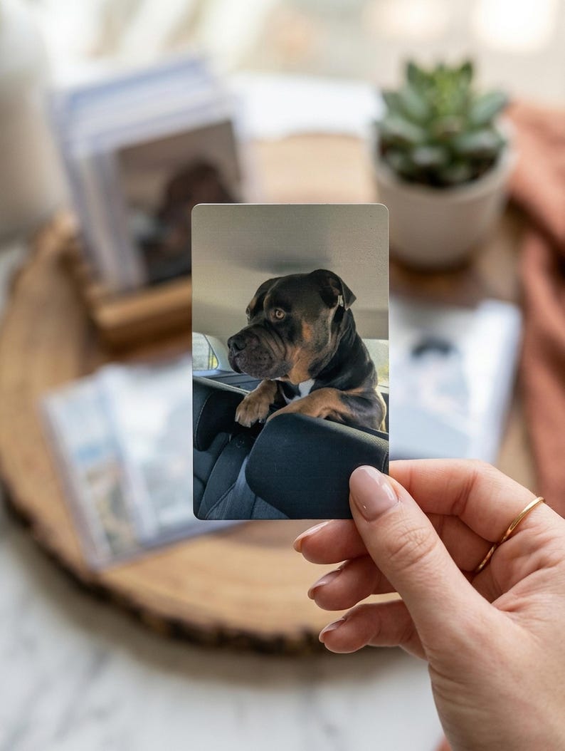 K&ouml;nnte beinhalten: Eine rechteckige Fotokarte mit einem schwarz-braunen Hund mit kurzem Fell, der seine Vorderpfoten auf die Kopfst&uuml;tze eines Autositzes legt. Der Hund blickt nach links und zeigt seine dunklen Augen und seine Schnauze im Innenraum des Autos.
