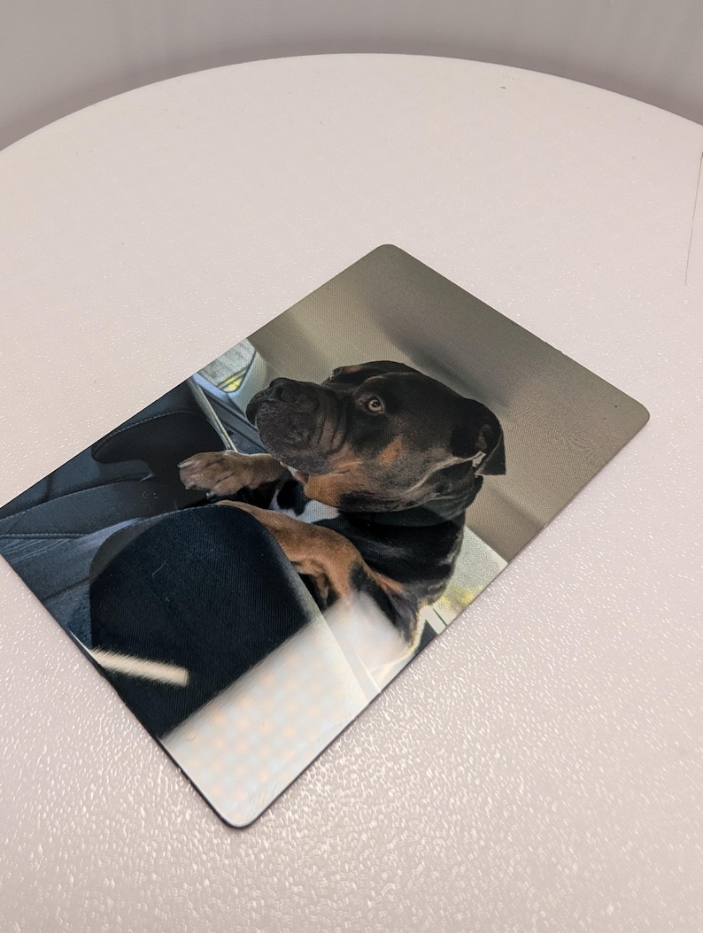 K&ouml;nnte beinhalten: Ein rechteckiger Metalldruck mit einer Fotografie eines schwarz-braunen Hundes mit kurzem Fell, der in einem Fahrzeug sitzt. Der Hund befindet sich auf dem Beifahrersitz und schaut mit gedrehtem Kopf und aufmerksamen Ohren zum Seitenfenster.