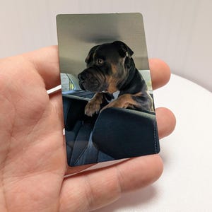 K&ouml;nnte beinhalten: Eine rechteckige Metallkarte mit einem vollfarbigen Fotodruck eines schwarz-braunen Hundes, der seine Vorderpfoten auf die Kopfst&uuml;tze eines Autositzes legt. Das Bild zeigt den Hund mit Blick nach links in einer klaren und detaillierten Ausf&uuml;hrung.