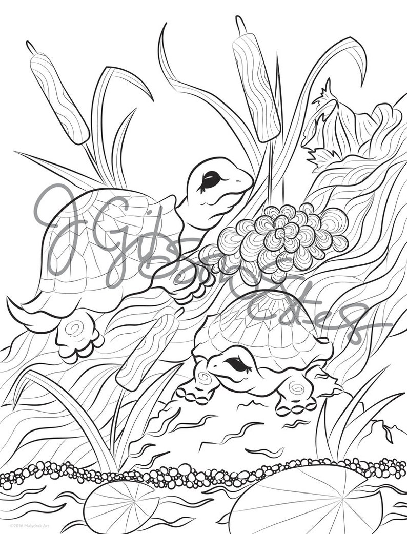 Download Turtles in a Pond Printable Coloring Page | Etsy
