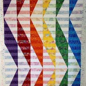 Lynne&#39;s Zebra Quilts