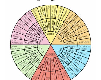Coping SKills Wheel for adults/adolescent