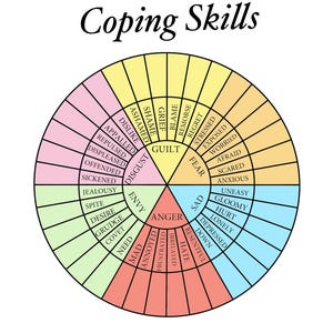 Coping Skills Wheel Blank