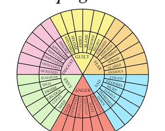 Coping Skills Wheel Blank