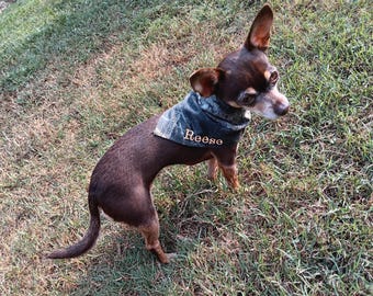 Personalized Pet Bandana: 10 vibrant colors