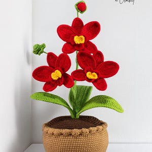May include: A crocheted orchid plant with vibrant red flowers and yellow centers, green leaves, and a brown pot. The text "PATR&Oacute;N Orqu&iacute;deas Con Maceta a Crochet" is at the top, and "KAQNIN KASIKAY" is at the bottom.