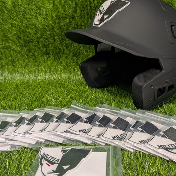 3D Batting Helmet Emblems