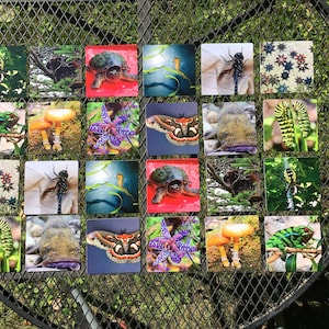 Memory Game from my original photographs, Boxed set of 2 each of 12 different cards, ready to ship