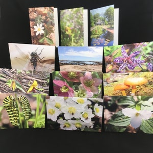 May include: A collection of 11 greeting cards featuring various nature scenes. The cards feature images of flowers, insects, mushrooms, and landscapes. The cards are all blank inside, making them perfect for any occasion.