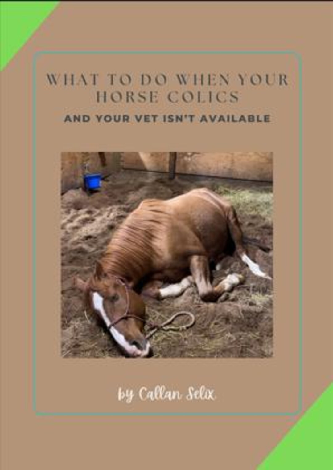 Colucs What to Do When Your Horse Colics and Your Vet is Not Available - Etsy