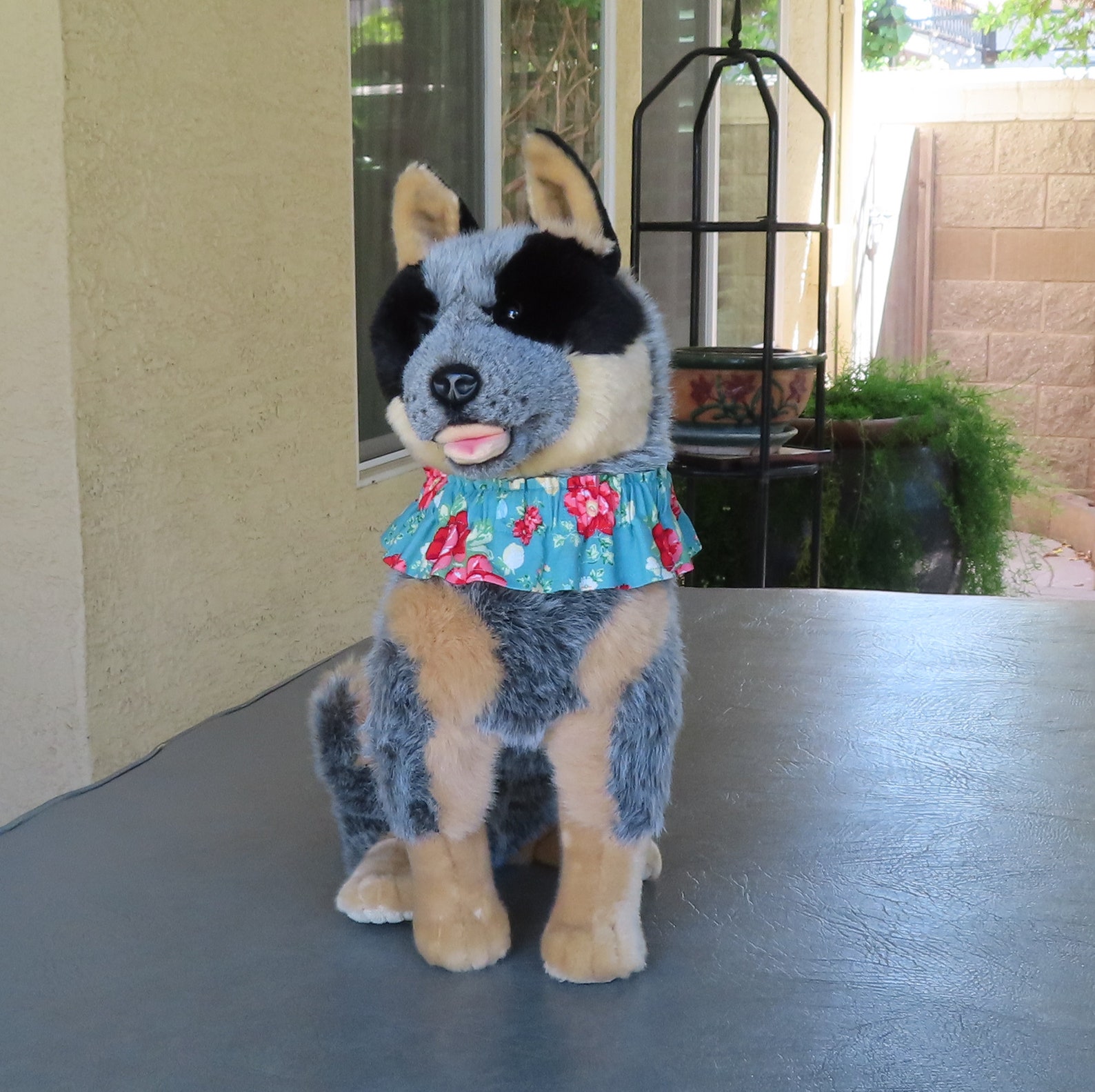 Dog Ruffle Collar Vintage Floral on Teal Dog Scrunchie Etsy