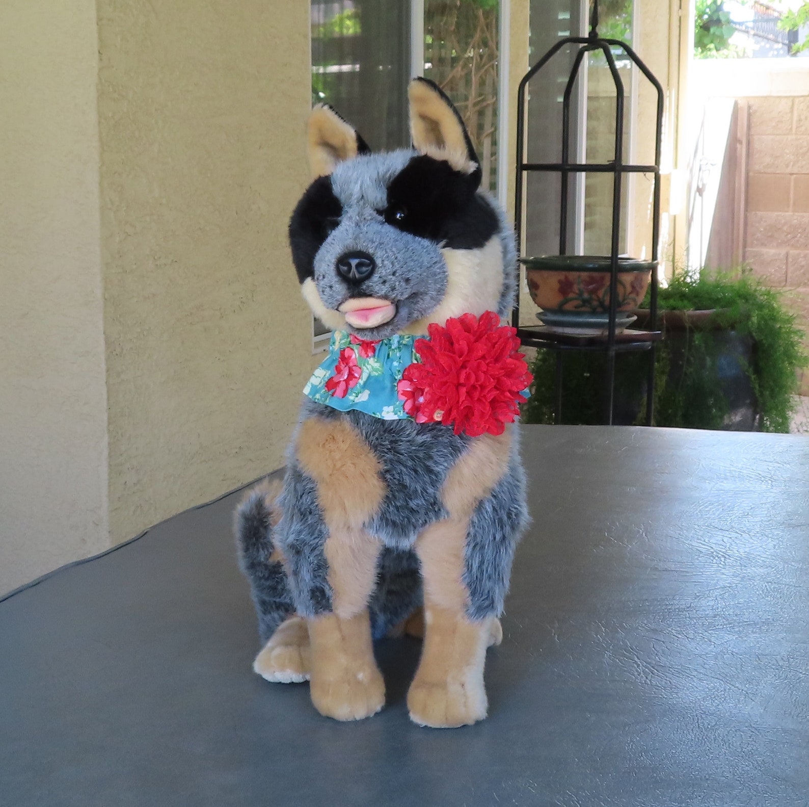 Dog Ruffle Collar Vintage Floral on Teal Dog Scrunchie Etsy