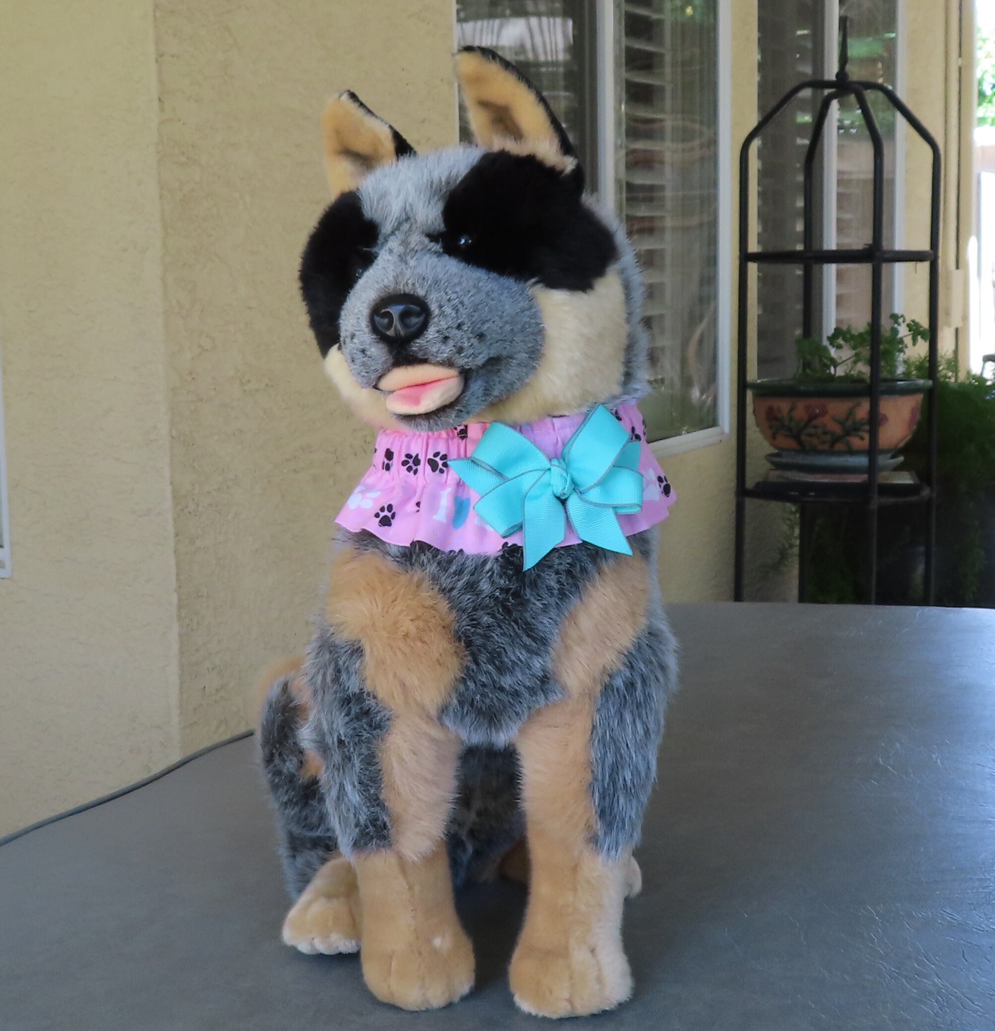 I Heart Paws Dog Scrunchie Collar Dog Ruffle Collar With Aqua Etsy UK