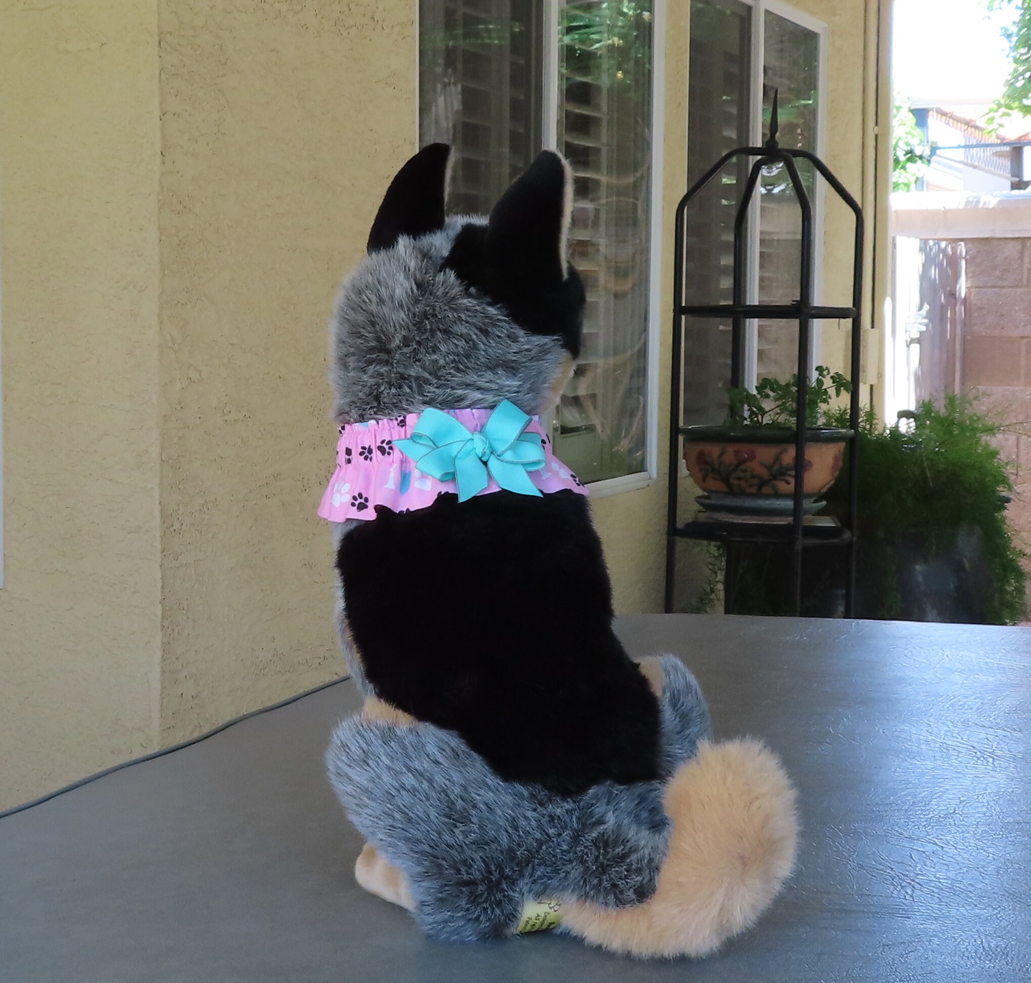 I Heart Paws Dog Scrunchie Collar Dog Ruffle Collar With Aqua Etsy UK