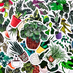 Lot de 50 autocollants pour plantes, lot d'autocollants pour plantes d'intérieur, autocollants imperméables pour Kindle, ordinateur portable, scrapbooking, bouteille d'eau, autocollants décoratifs