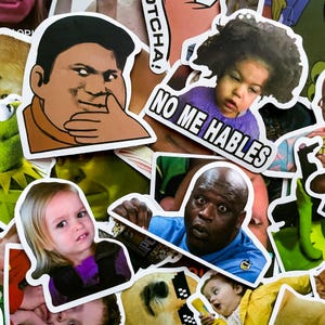 50 Random Internet Meme Stickers, Hilarious Reaction Face Stickers, Funny Expression Stickers, Waterproof Stickers for Journal, Scrapbook