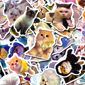 Pack of 50 Adorable Cat Stickers, Dressed-Up Cat Sticker Pack, Waterproof Pet Stickers for Journal, Kindle, Cute Stickers for Cat Lovers