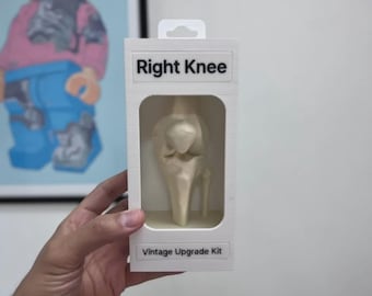 Vintage Body Upgrade Kit – Funny Anatomy Desk Display & Gift