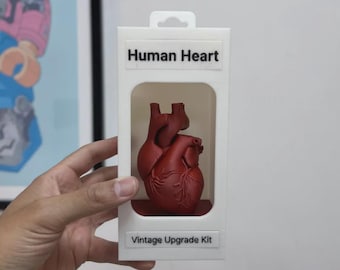 Vintage Body Upgrade Kit – Funny Anatomy Desk Display & Gift